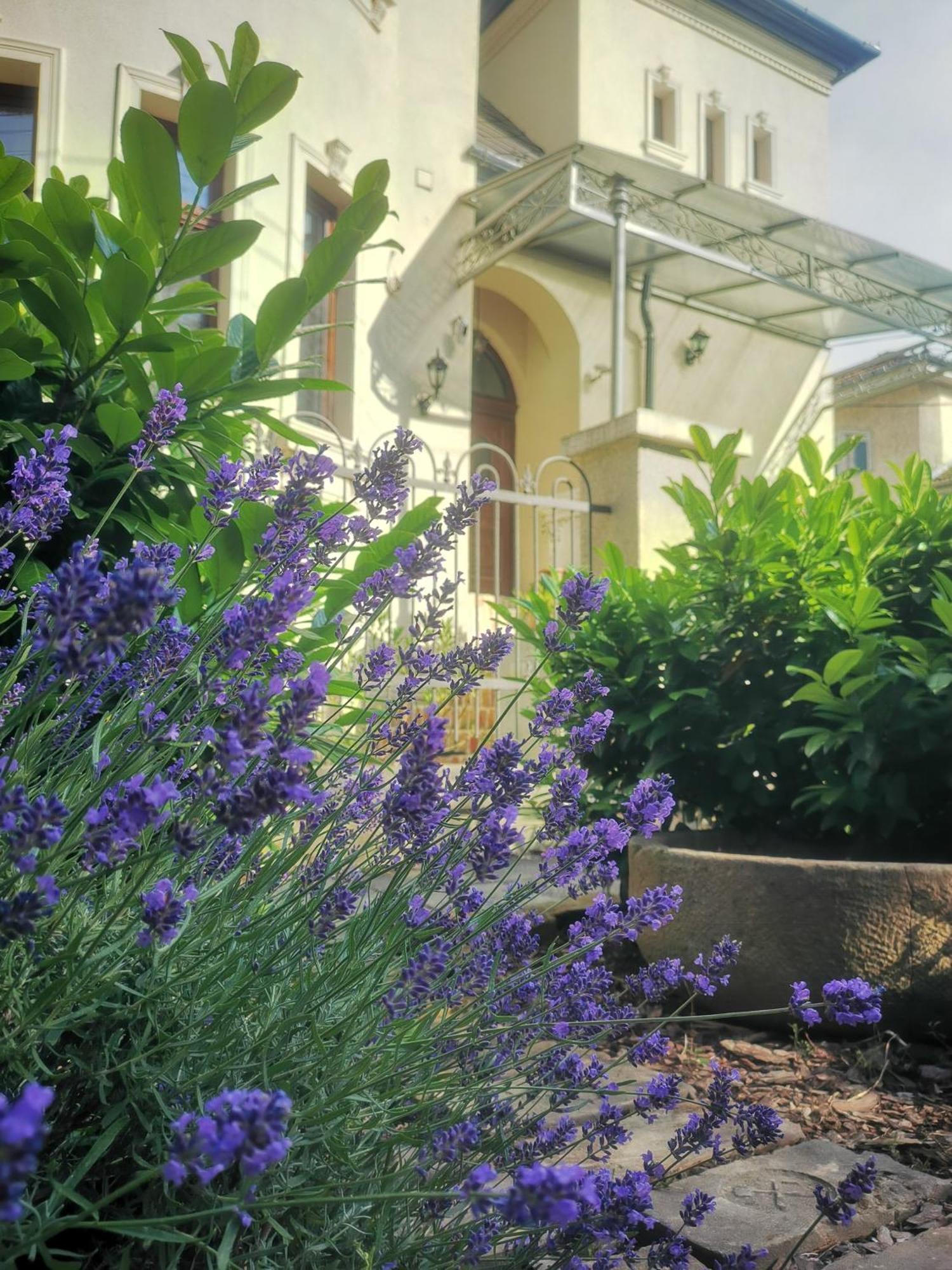 Kuria Apartman With Private Jacuzzi And Pool Budapest Exterior photo